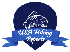 USA Fishing Reports